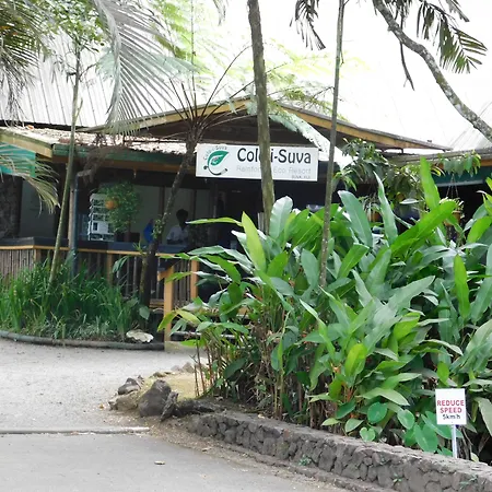 Rainforest Eco Lodge-2