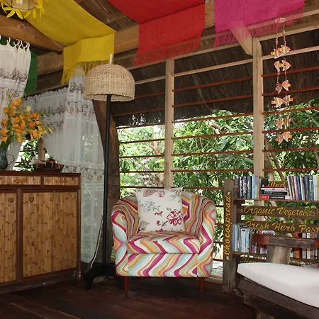 Bohol Bee Farm Hotel-2