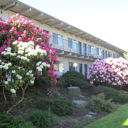 Cocusa Motel-3