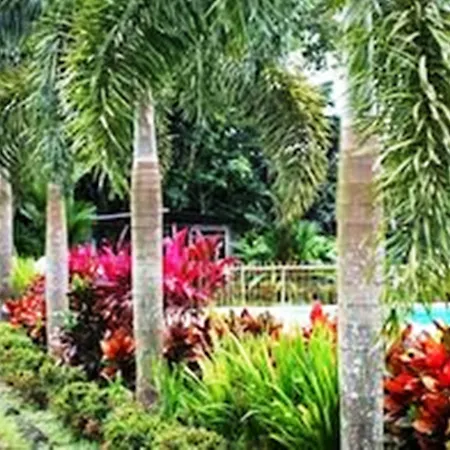 Hotel Colores Del Arenal-3