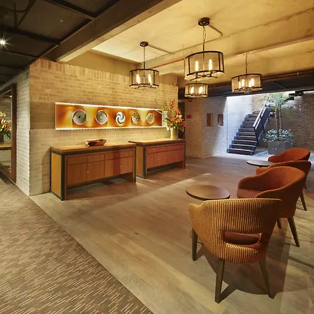 The Artisan D.C. Hotel, Autograph Collection-2