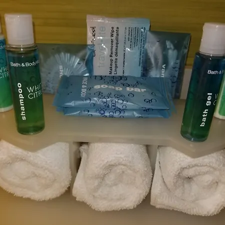 Holiday Inn Express Hotel & Suites Ann Arbor West By Ihg-2