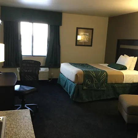 Baymont By Wyndham Glendive-3