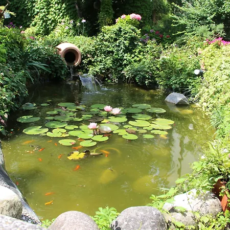 B&B Villa Ines-2