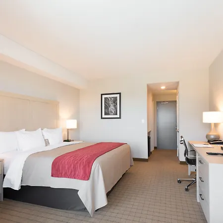 Comfort Inn & Suites-2