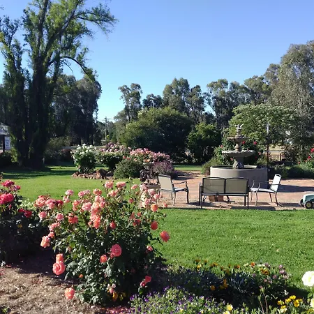Newell Motor Inn Narrandera-2