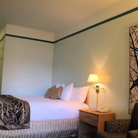 The Cedars Inn Hotel & Convention Centre-3