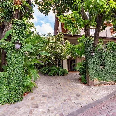 Hotel Villa Therese-2