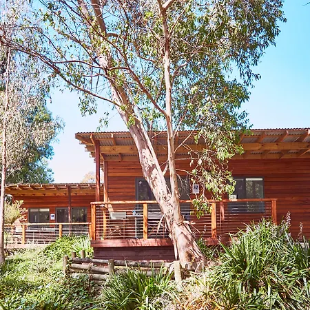 Lorne Foreshore Caravan Park-2