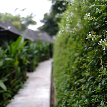 Yoma Hotel, Pai-3