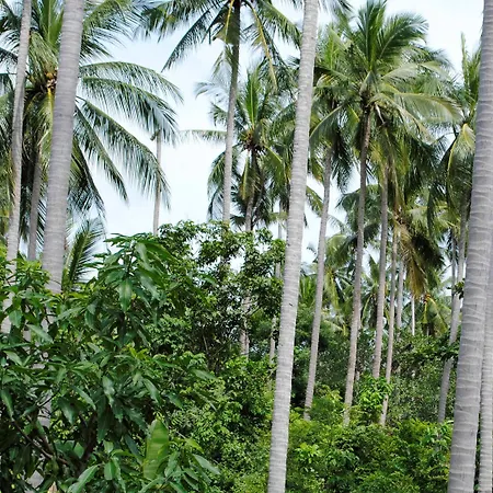 Baan Sawan Samui Resort-2