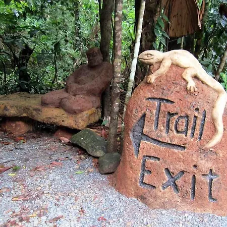 Rainforest Hideaway-2