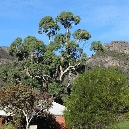 Pinnacle Holiday Lodge-2