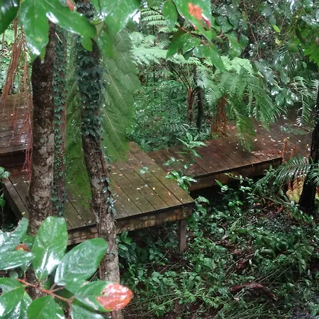 Treetops Montville-2