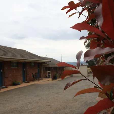 Isis Motel Scone-3
