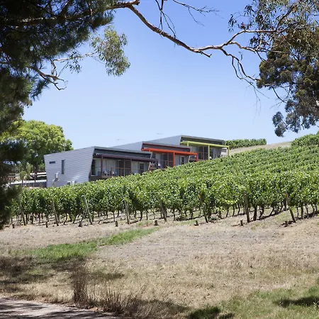 Longview Vineyard-3