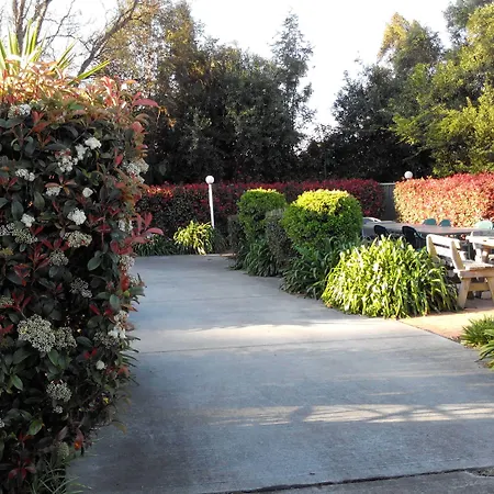 Branxton House Motel-2