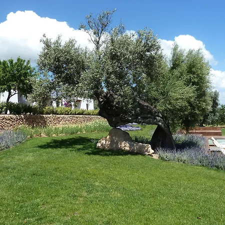 Casa Maca-3