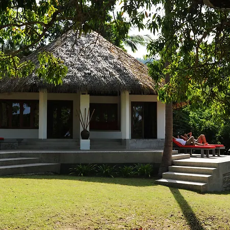 The Jungle Club-3