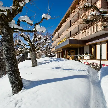 Hotel Jungfraublick-3