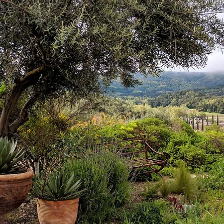 Croad Vineyards - The Inn-3