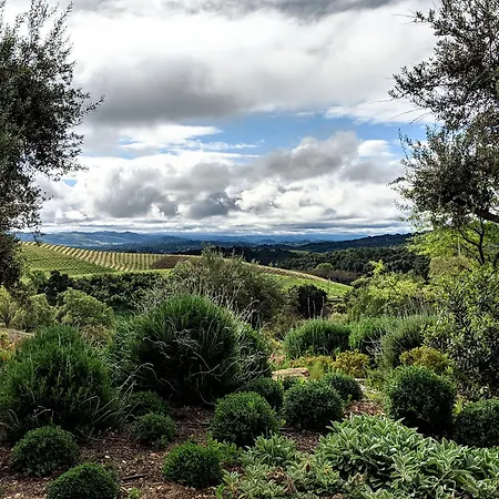 Croad Vineyards - The Inn-2