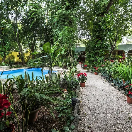Hotel Boutique Casa Quetzal-2