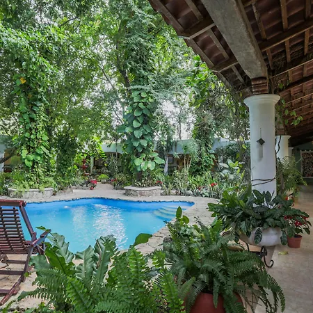Hotel Boutique Casa Quetzal-3