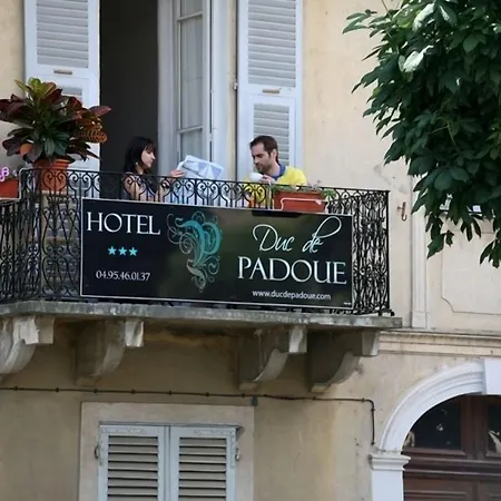 Hotel Duc De Padoue-3