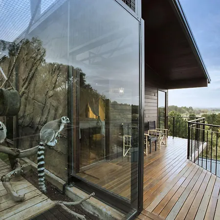 Jamala Wildlife Lodge-2