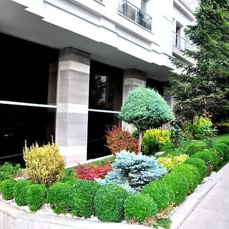 Notte Hotel-2
