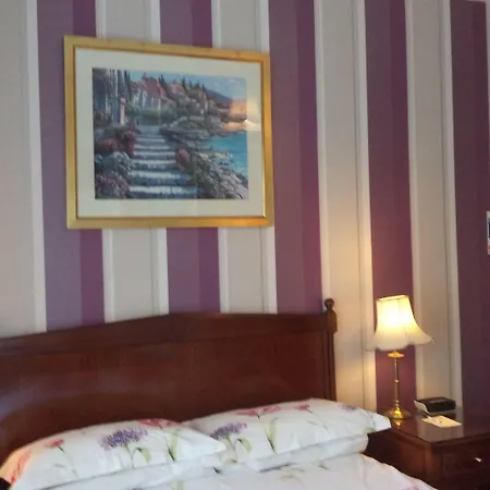 Acer Lodge Guest House-3