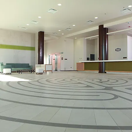 Hampton Inn & Suites By Hilton Aguascalientes Aeropuerto-2