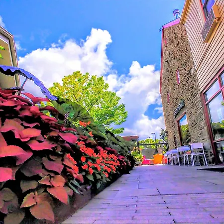 Chestnut Hill Hotel-3