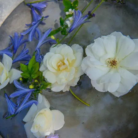Summerfields Rose Retreat And Spa-3