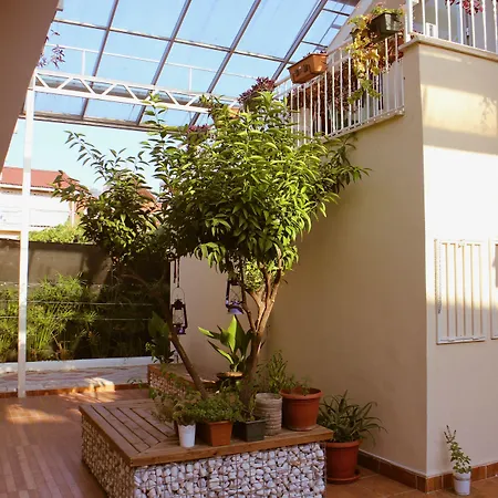 Arp Dalyan-2