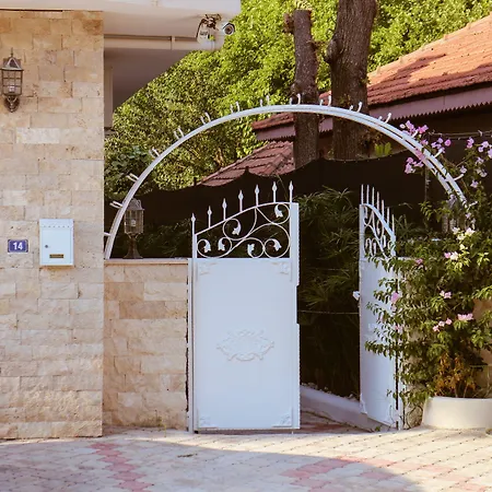 Arp Dalyan-3