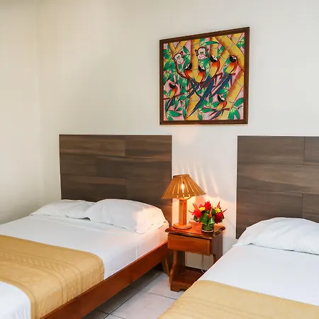 Hotel Flor Blanca-3