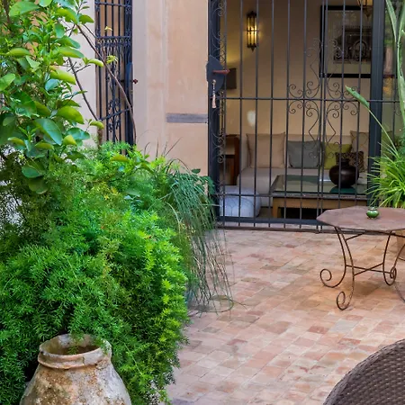 Karawan Riad-2