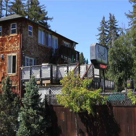The Woods Hotel - Gay Lgbtq Cabins-3