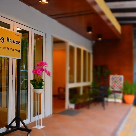 Seedling House-2