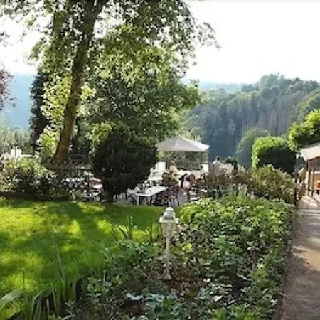 Spa Hôtel Restaurant Au Lion d'Or-2