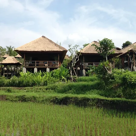 Sawah Indah Villa-2