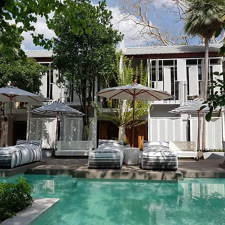 Treevana Club Chiangmai-3