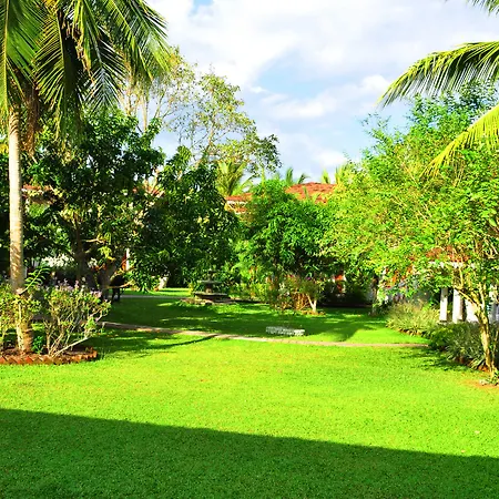 Bougain Villa-2