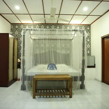 Bougain Villa-3