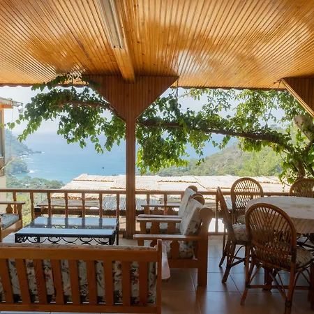 Tree Houses-3