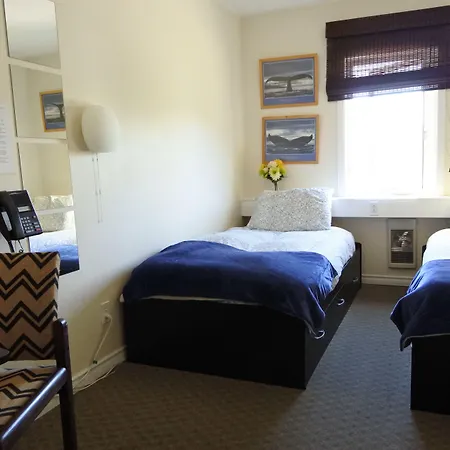 Black Rooster Guesthouse-3