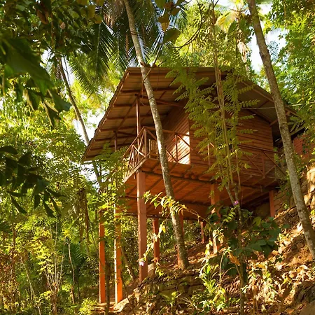 Polwaththa Eco Lodges-2