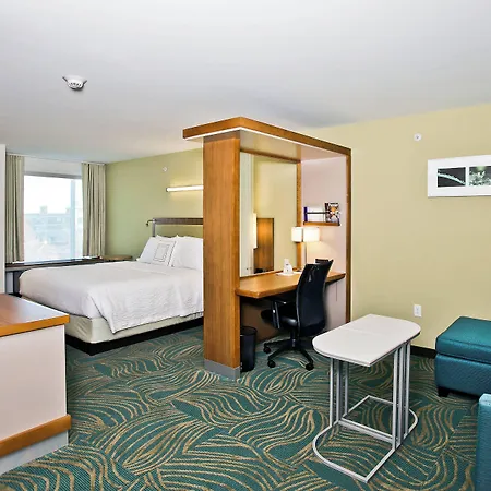 Springhill Suites By Marriott Mobile West-2